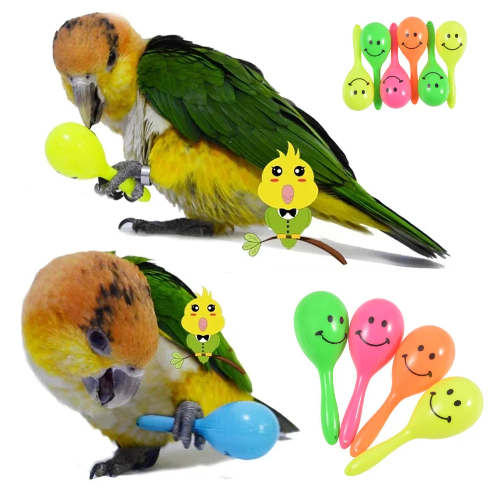 Bird Toys