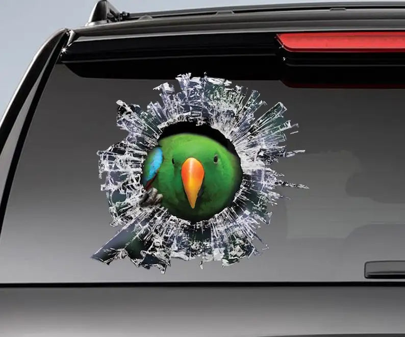 Eclectus Roratus Window Decal, Parrot Car Sticker, Green Eclectus Funny Car Decal, Eclectus Parrot Sticker