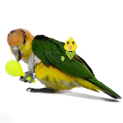 3 Pcs Parrot Rattle Toy Set – Interactive Sand Hammer & Sand Ball for Bird Training and Play | Pet Accessories